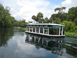 glass bottom boat